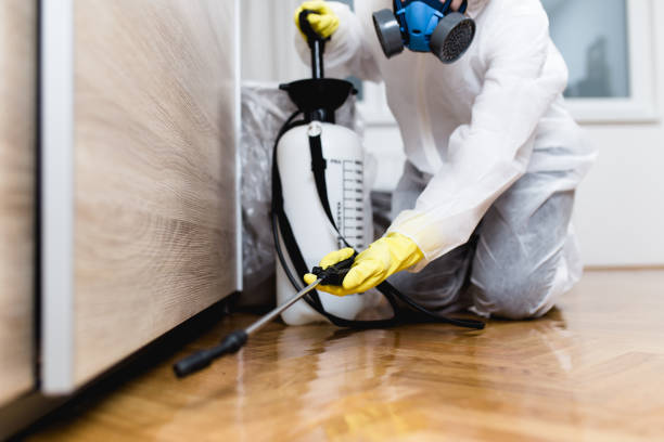 Best Bed Bug Extermination  in Red Bank, TN