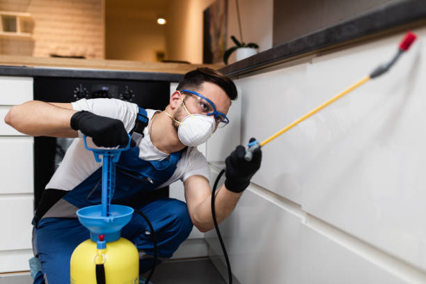 Best Pest Control Near Me  in Red Bank, TN