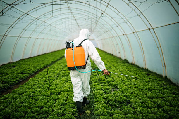 Best Affordable Pest Control Services  in Red Bank, TN