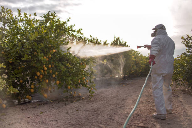 Best Pest Removal Services  in Red Bank, TN