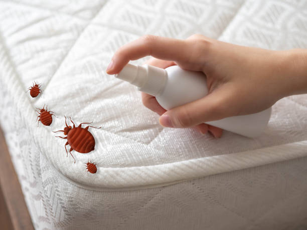 Best Emergency Pest Control  in Red Bank, TN