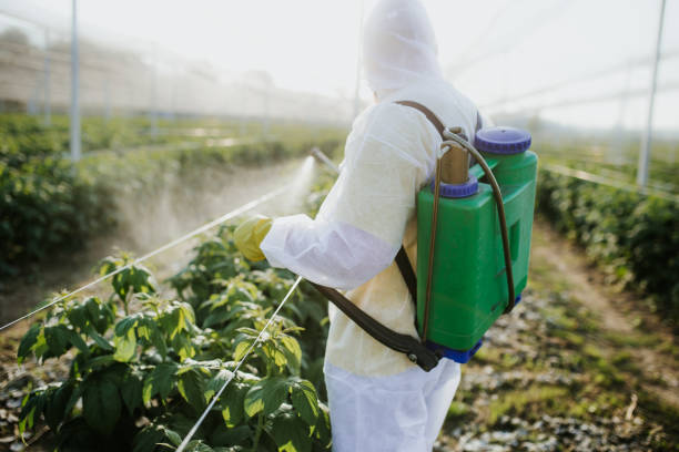Best Wasp Removal Services  in Red Bank, TN